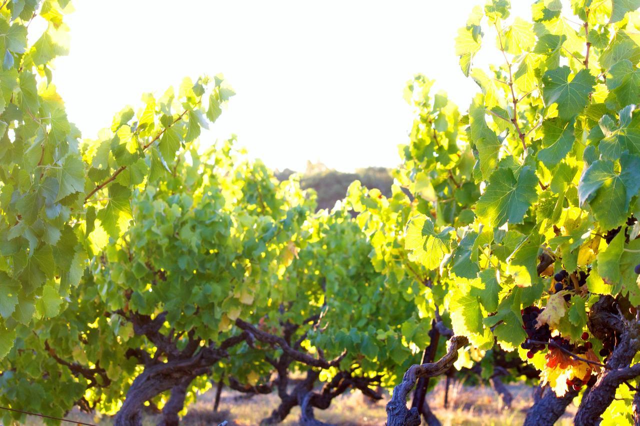 Bed & Breakfast At Tiffany'S Mclaren Vale Exterior foto